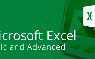 Microsoft Excel - Basic & Advanced 6 coaching hours