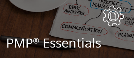 PMP Essentials + 12 coaching hours