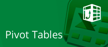 Microsoft Excel - Pivot Tables 6 coaching hours